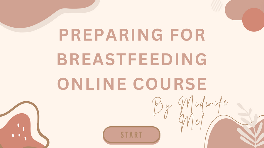 Preparing for Breastfeeding Online Course